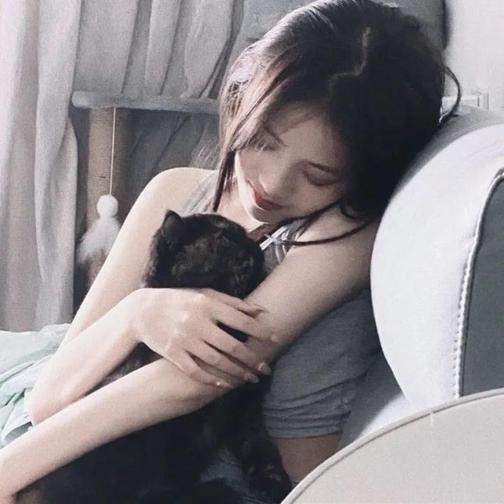 鼠胆英雄