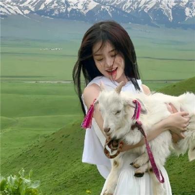 高卢英雄大战凯撒王子
